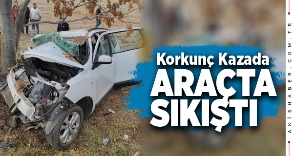 Denizli'de Ağaca Çarpan Aracın Sürücüsü Yaralandı
