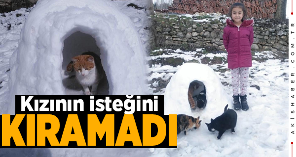 Denizli'de Kardan Evler Kedileri Koruyor