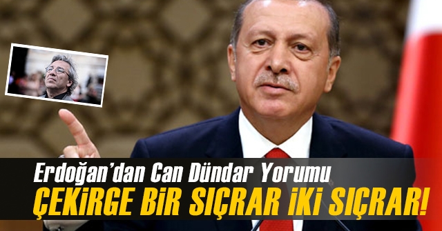 Erdoğan’dan Can Dündar Yorumu