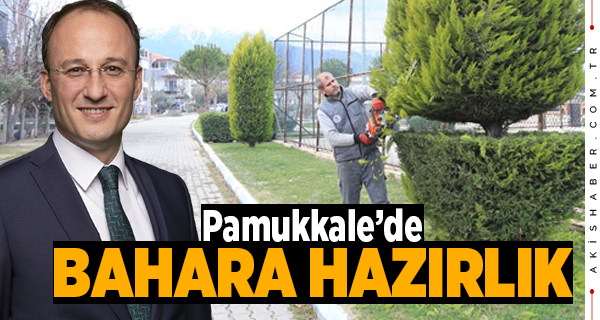 Pamukkale Belediyesi 40 Mahallede Budama Yaptı
