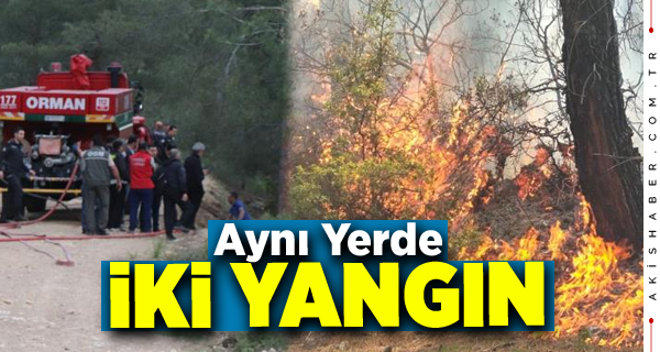 Pamukkale'de Yangınlarda 2 Dönüm Kül Oldu