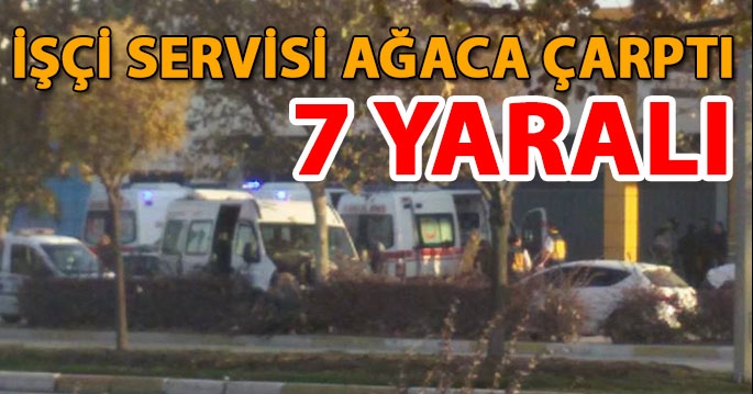İşçi servisi ağaca çarptı: 7 yaralı