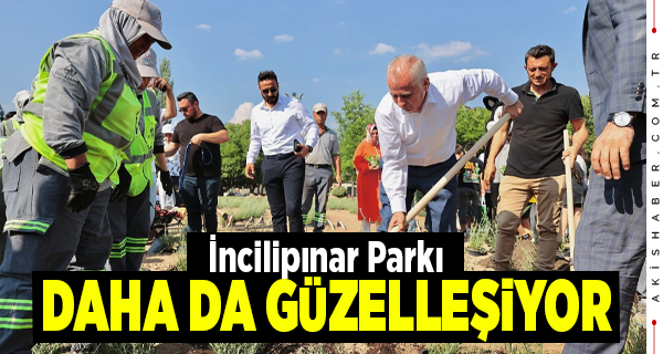 Denizli'de Çevre Haftası Etkinlikleri Devam Ediyor