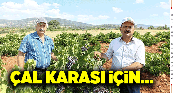 En Verimli Çal Karası Tespit Edilecek