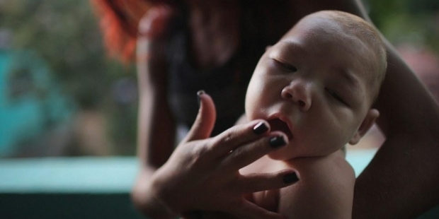 Zika virüsü Türkiye’ye gelir mi?