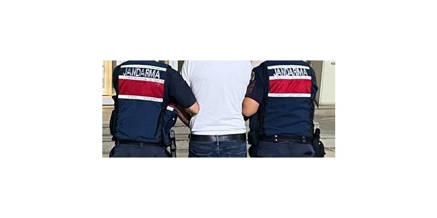 Jandarmadan silah kaçakçılığı operasyonu: 2 tutuklama