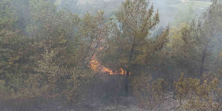 Denizli’de sezonun ilk orman yangını büyümeden söndürüldü