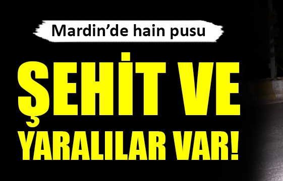 Mardin'de hain pusu, şehit ve yaralılar var