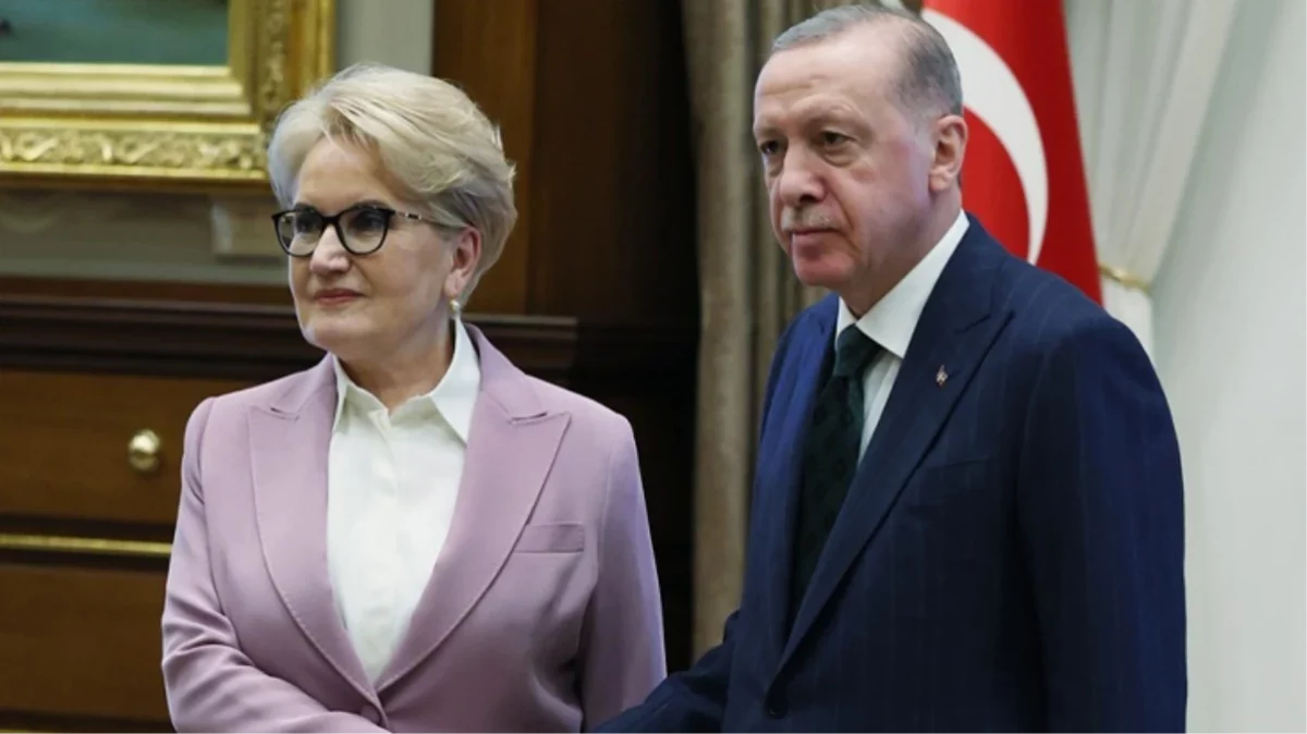 Meral Akşener'in yeni görevi belli oldu!