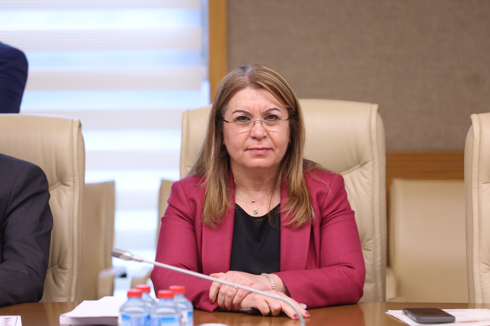 Karaca, AKP'nin Düzeni Bu İşte