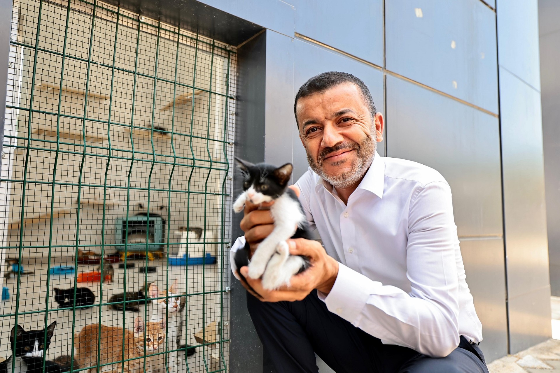 Kısırlaştırma ve sahiplendirmede rekor artış