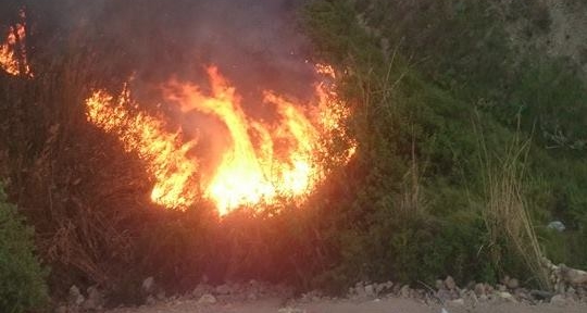 SON DAKİKA!...Pamukkale Aktepe'de Yangın