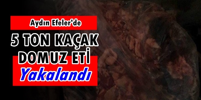 Aydın'da 5 Ton Kaçak Domuz Eti Yakalandı