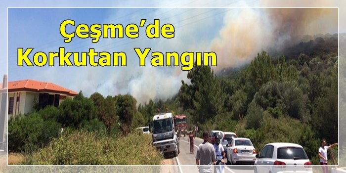 Çeşme’de Korkutan Yangın