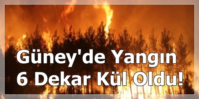 Güney'de Yangın 6 Dekar Kül Oldu!