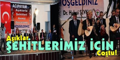 Şehitlerimiz,Aşıklar Gecesinde Anıldı