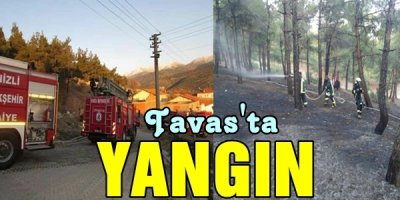 Tavas İlçesinde Yangın