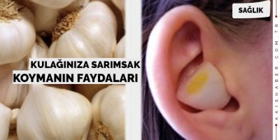 Kulağınıza Sarımsak Koymanın Faydaları