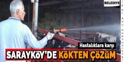 Sarayköy'de Hastalıklara Kökten Çözüm