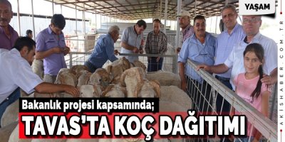 Tavas'ta Koç Dağıtımı Yapıldı