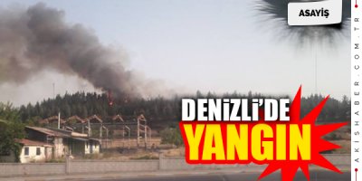 Denizlide Orman Yangını