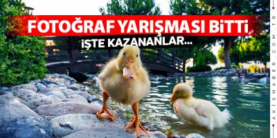 102 Eser Ödüle Layık Görüldü