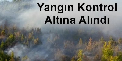 Acıpayam'da 5 Hektarlık Alan Zarar Gördü