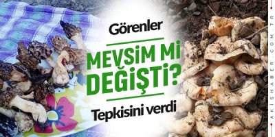 Görenler Şaşkınlığa Uğradı