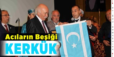 Mehmet Özbek, Irak Türkleri'nin Elçisi!