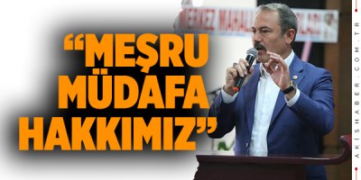 Milletvekili Tin Zeytin Dalı Harekâtını Değerlendirdi