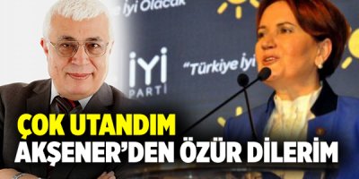 İçtenlikle Özür Diliyorum