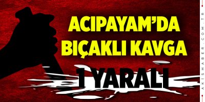 Acıpayam'da Kavga 1 Yaralı