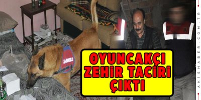 Jandarma Seyyar Oyuncakçıyı Tutukladı