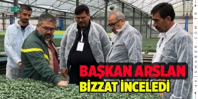 Başkan Arslan Bizzat İnceledi