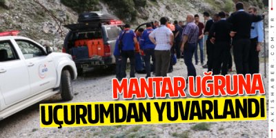 Mantar toplarken uçurumdan yuvarlandı