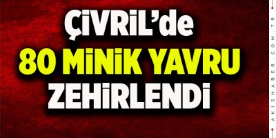 Anaokulunda Zehirlenme Olayı
