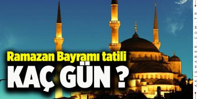 İşte Merak Edilen Sorunun Cevabı
