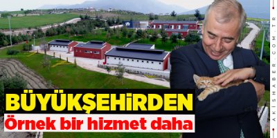 Sokak Hayvanları Rahat Edecek