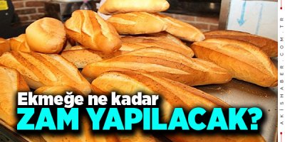Ekmeğe Zam Yolda