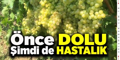 Çal’da Çiftçi’nin Hali Perişan