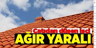 Ekmek Parası İçin Çatıya Çıktı