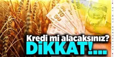 Çiftçinin Beli Bu Yüzden Doğrulmuyor