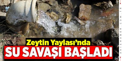 6 Muhtar Ormana Savaş Açtı