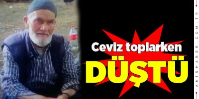 Yaşlı Adamın Talihsiz Ölümü