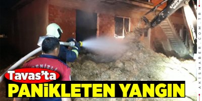 Samanlık Alevlere Teslim Oldu