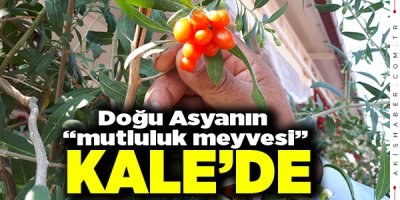 Kaleli Çiftçiden Büyük Başarı