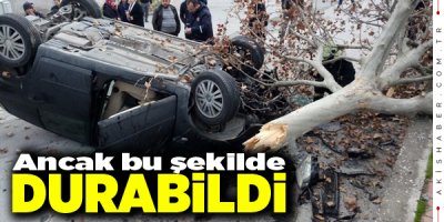 Pamukkale'de Korkunç Kaza