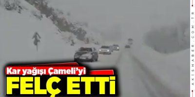 Hayat Durma Noktasına Geldi