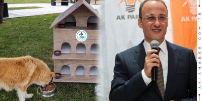 Sokak Hayvanları Kaderine Terk Edilmeyecek