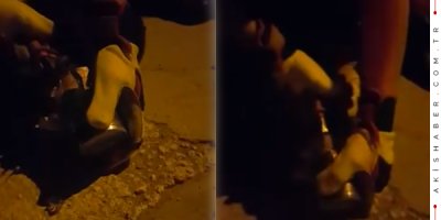 Konserve Kutusu Kedinin Başına Bela Oldu